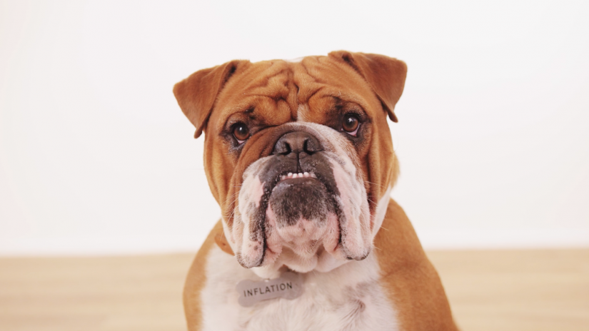 Screen Shot 2016-03-19 at 12.30.27 PM