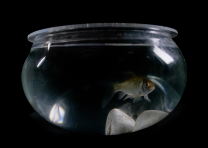 Screen Shot 2016-05-09 at 12.05.07 PM