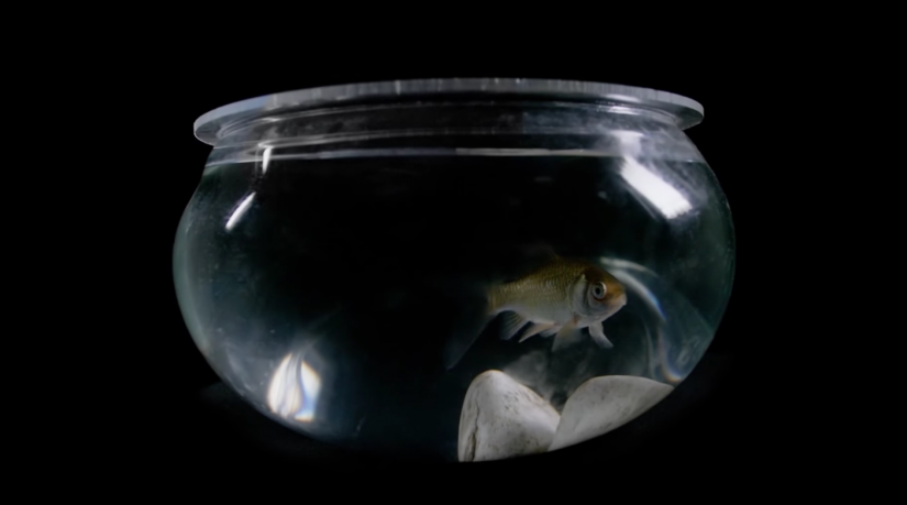 Screen Shot 2016-05-09 at 12.05.07 PM